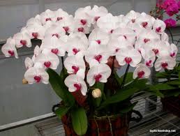 images (3)